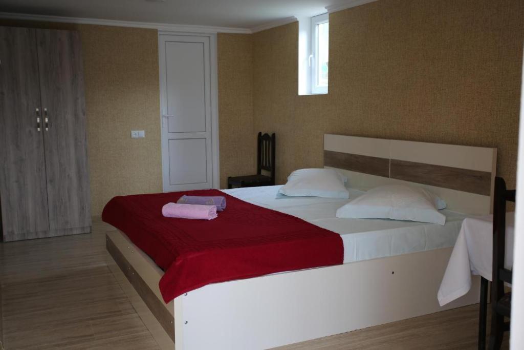 Guest house Tsivi Tba *
